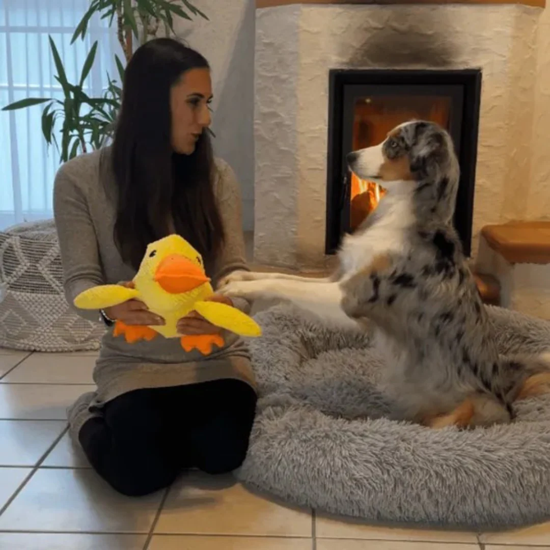 Jouet en peluche Canard pour Chien - Image 6