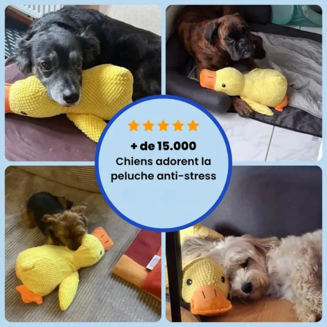 Jouet en peluche Canard pour Chien - Image 9