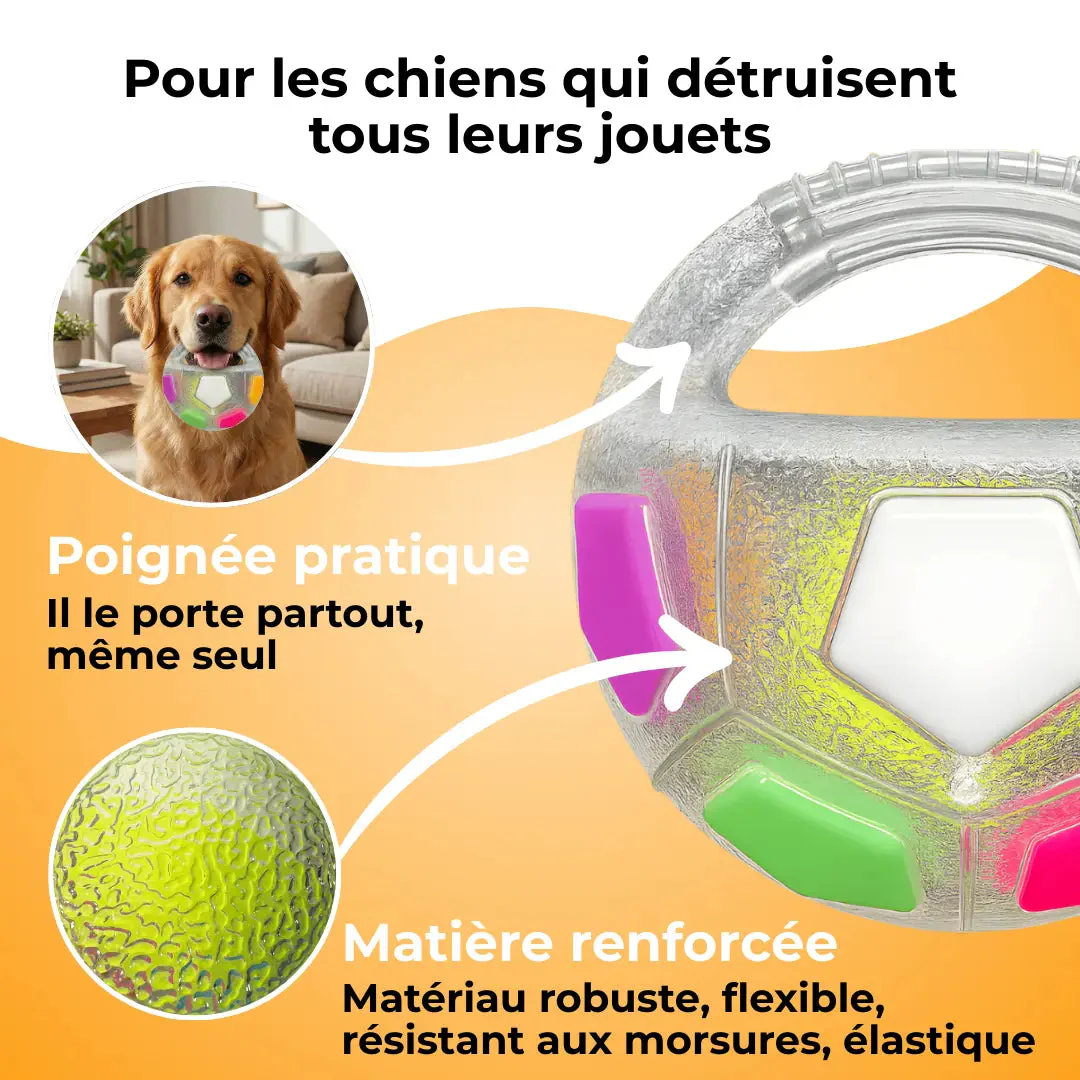 Jouet Résistant pour Chiens - Image 4