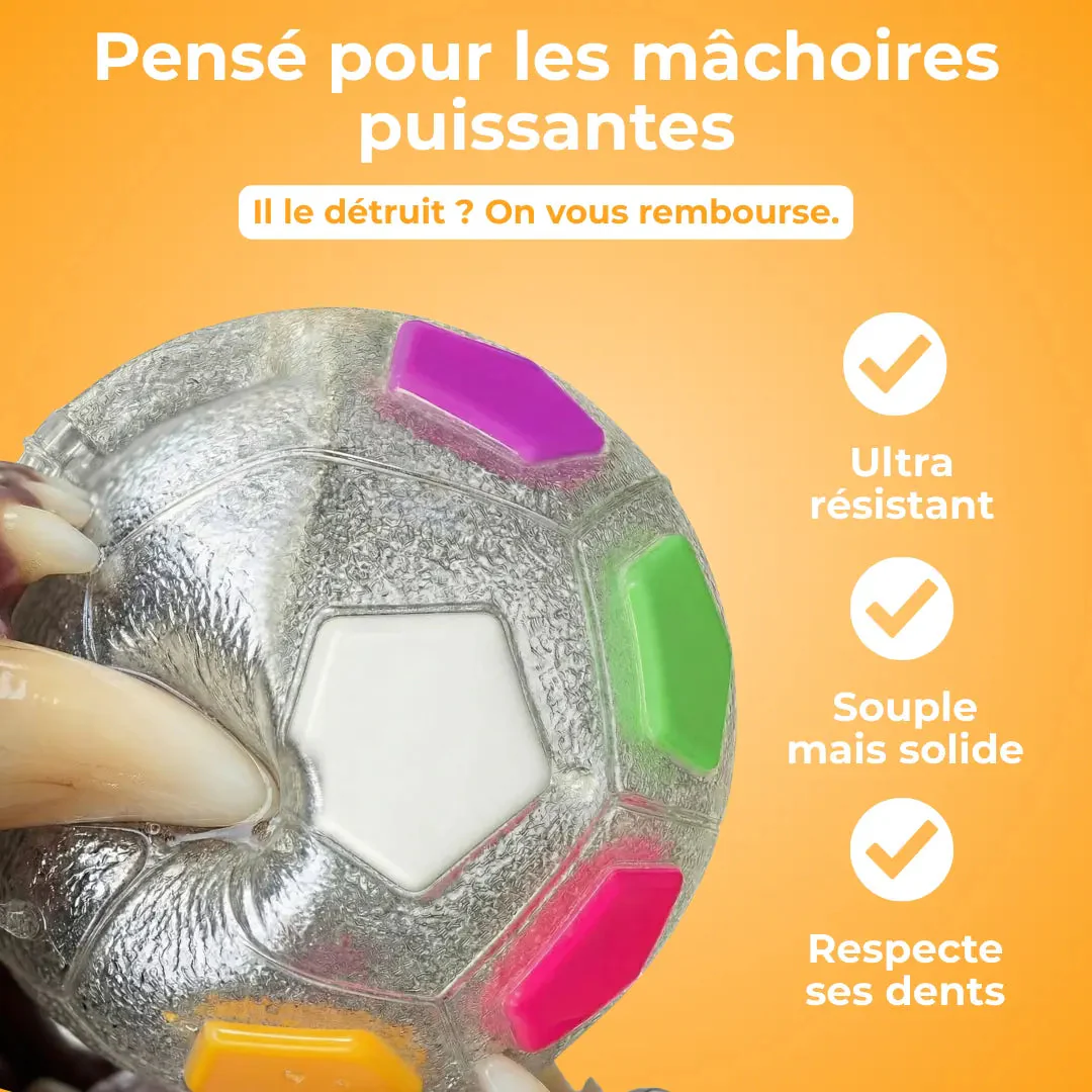 Jouet Résistant pour Chiens - Image 5