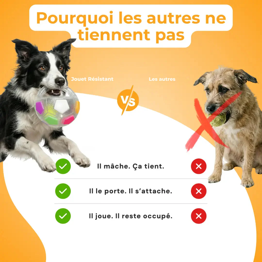 Jouet Résistant pour Chiens - Image 7