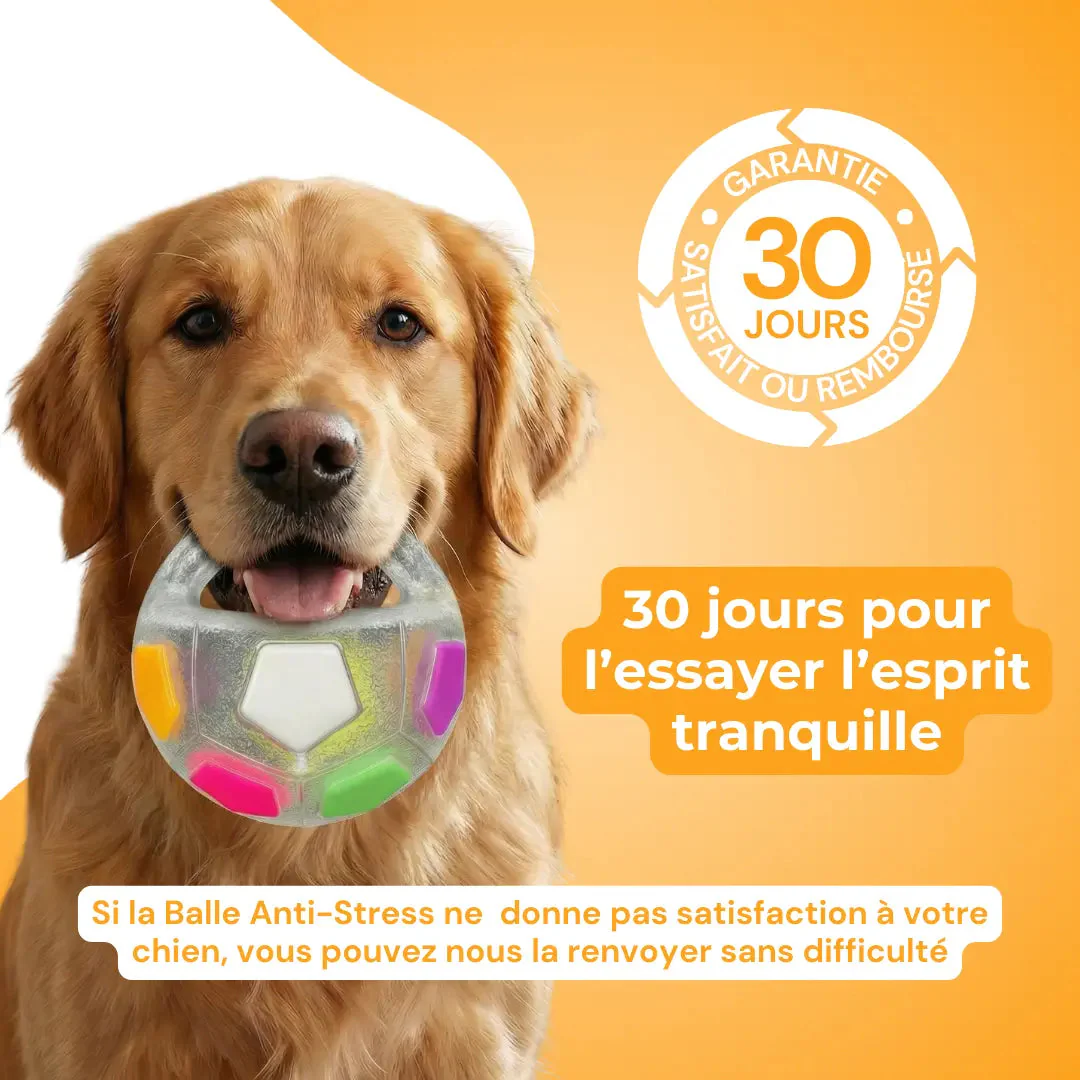Jouet Résistant pour Chiens - Image 8