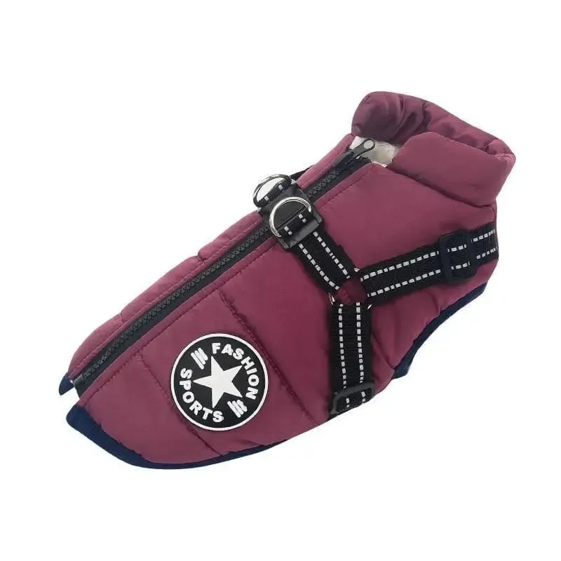 Manteau pour chien avec harnais intégré - Image 10