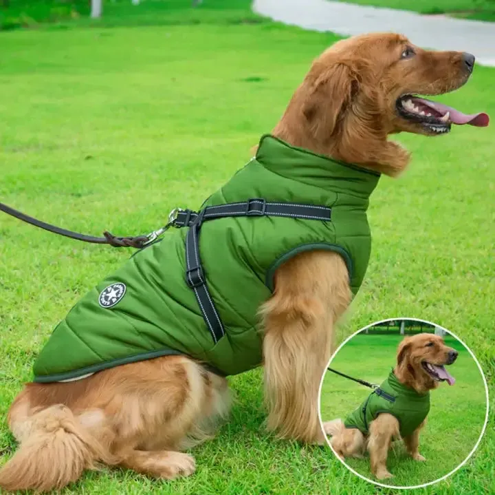 Manteau pour chien avec harnais intégré - Image 2
