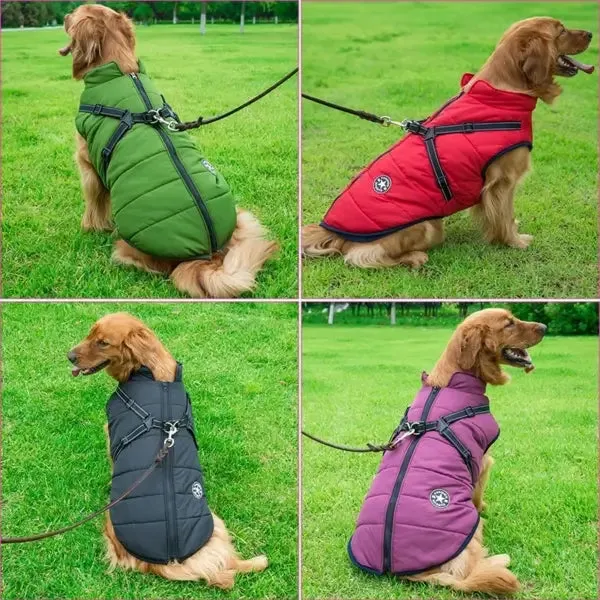 Manteau pour chien avec harnais intégré - Image 3