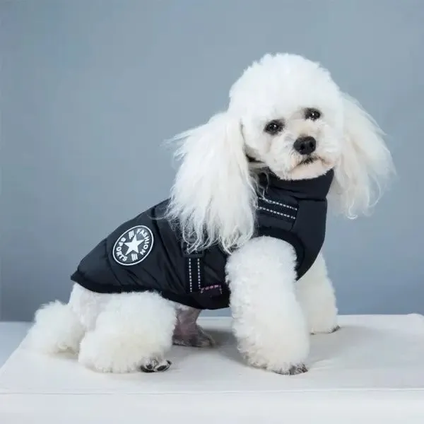 Manteau pour chien avec harnais intégré - Image 4