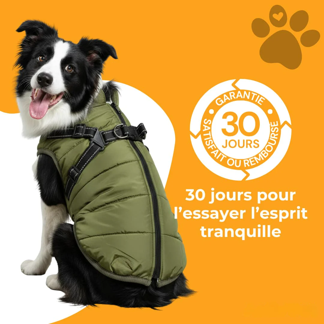Manteau imperméable pour chien avec harnais intégré - Image 2