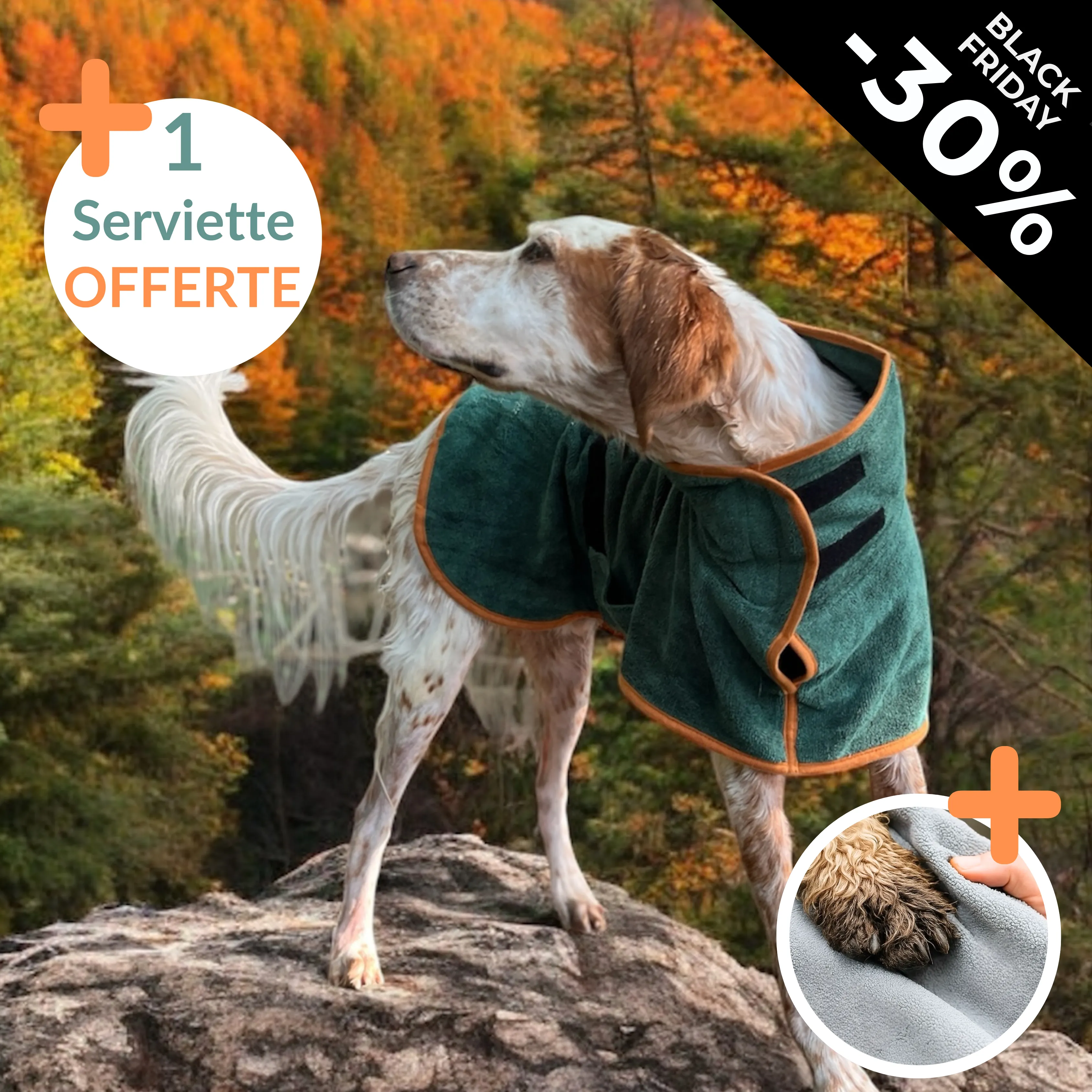Manteau Séchant pour Chien + Serviette