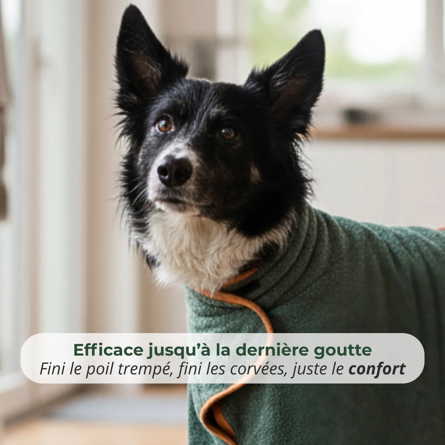 Manteau Séchant pour Chien + Serviette - Image 6