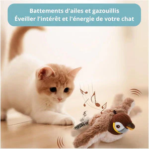 Oiseau Zen – Stimulation pour votre compagnon - Image 2
