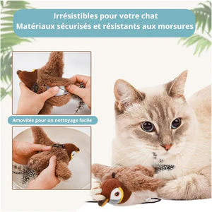 Oiseau Zen – Stimulation pour votre compagnon - Image 3