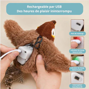 Oiseau Zen – Stimulation pour votre compagnon - Image 4