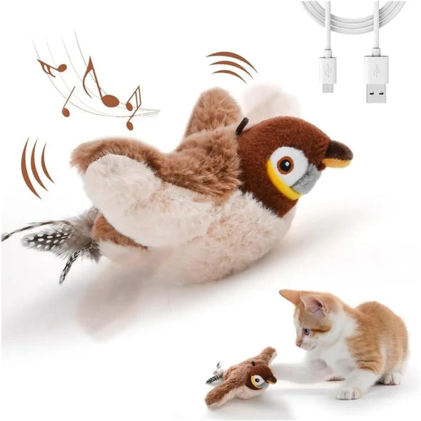 Oiseau Zen – Stimulation pour votre compagnon - Image 5
