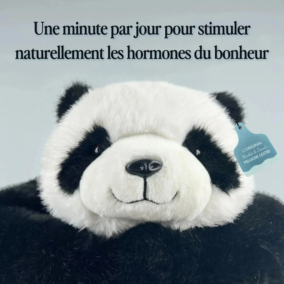 Peluche Panda Relaxante avec Bras Lestés - Image 7