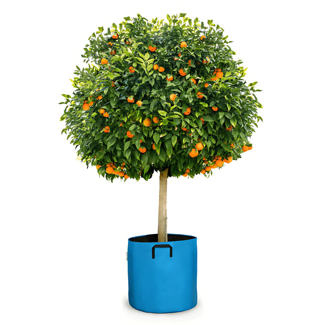 Pot auto-arrosant évolutif - Image 5