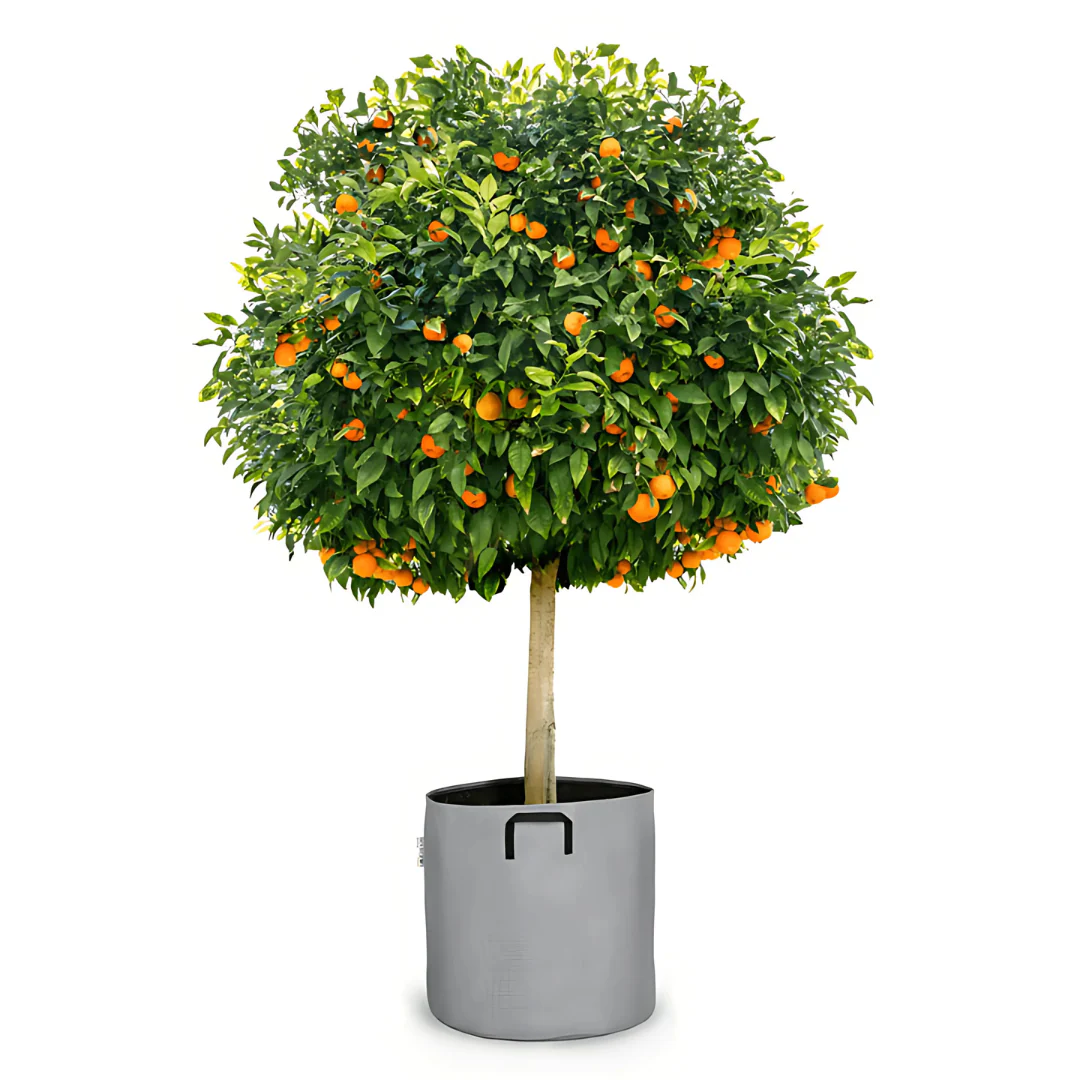 Pot auto-arrosant évolutif - Image 6