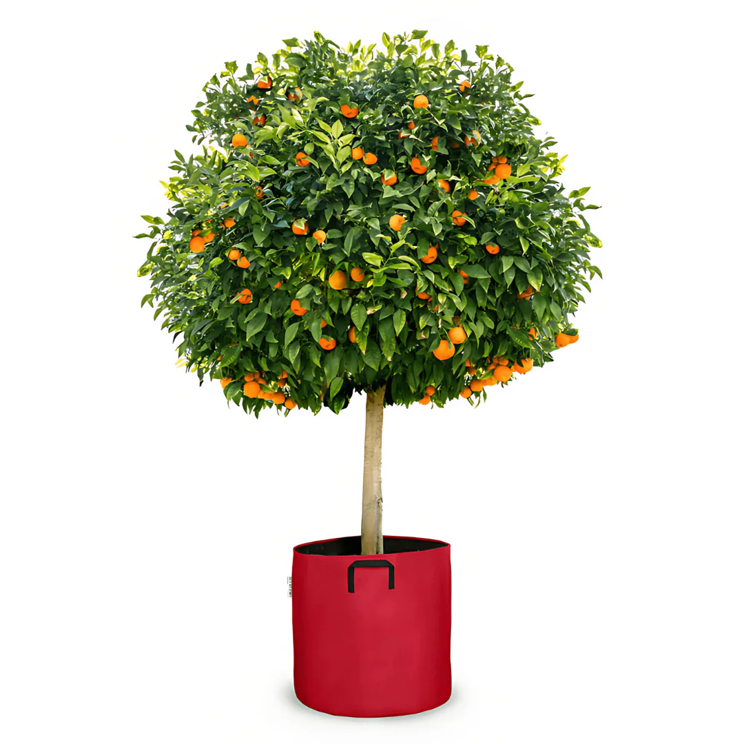 Pot auto-arrosant évolutif - Image 8