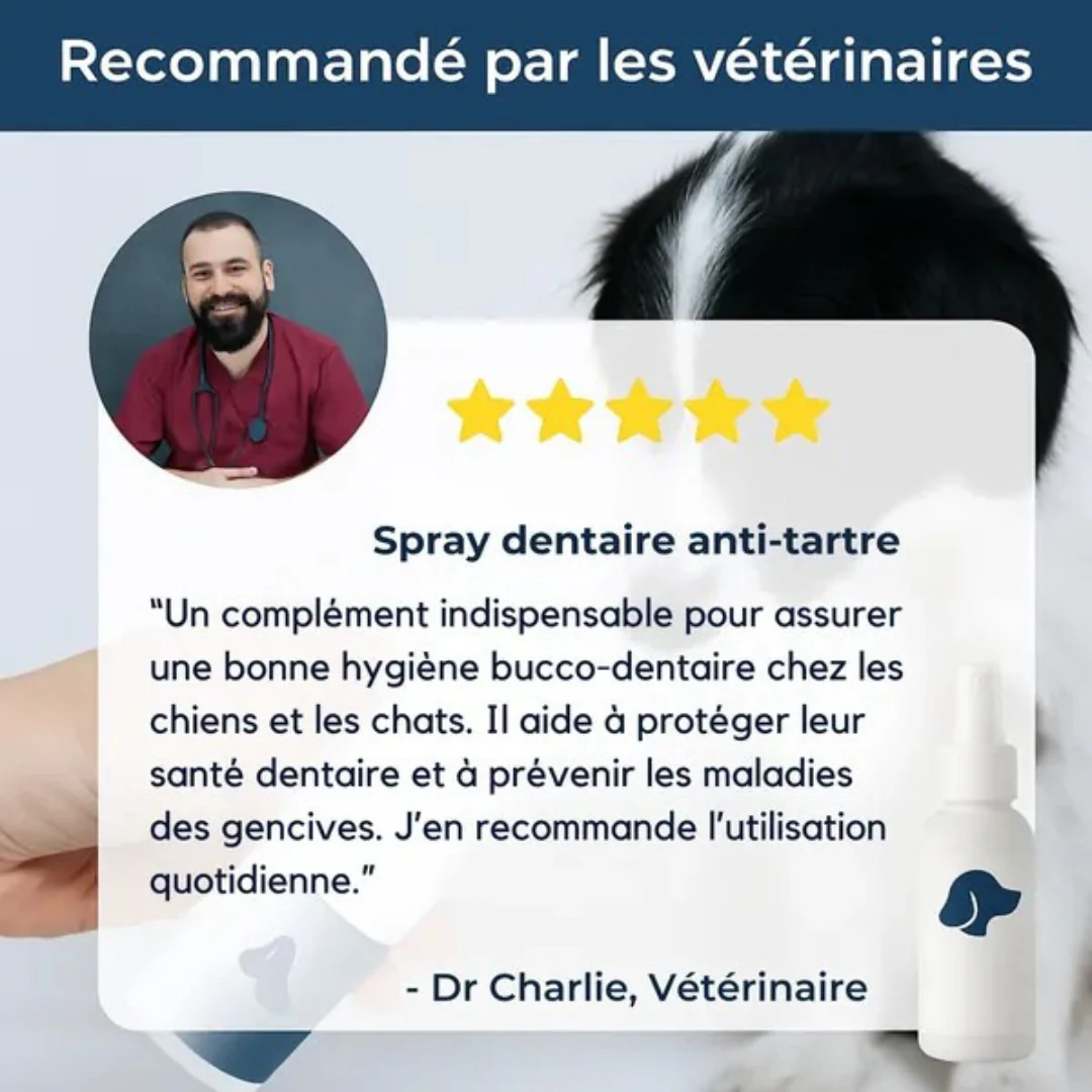 Spray Dentaire Anti-Tartre pour Chiens - Image 4