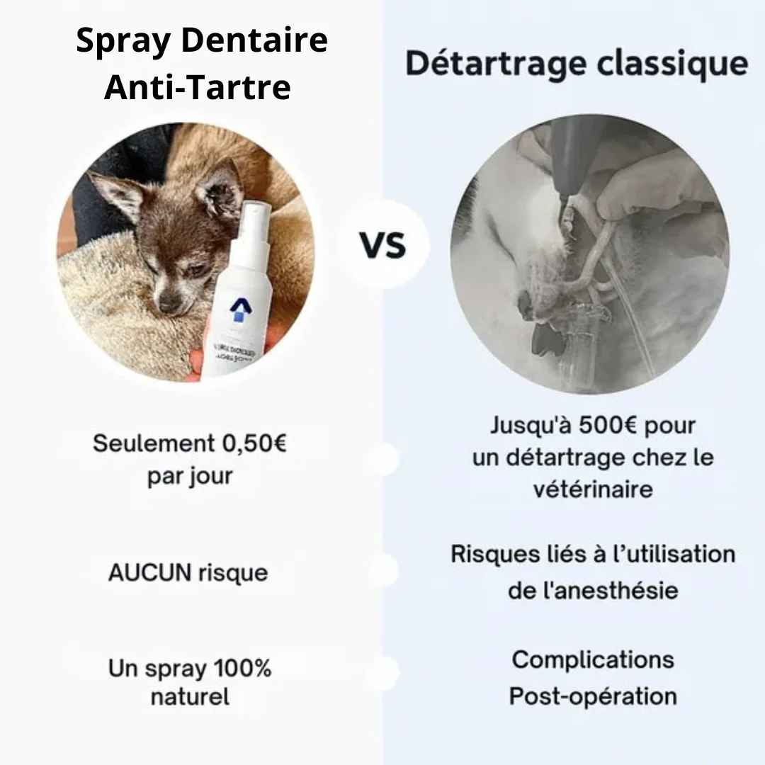 Spray Dentaire Anti-Tartre pour Chiens - Image 5