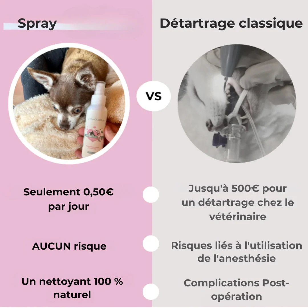 Spray dentaire naturel pour chien – Anti-tartre & haleine fraîche - Image 3