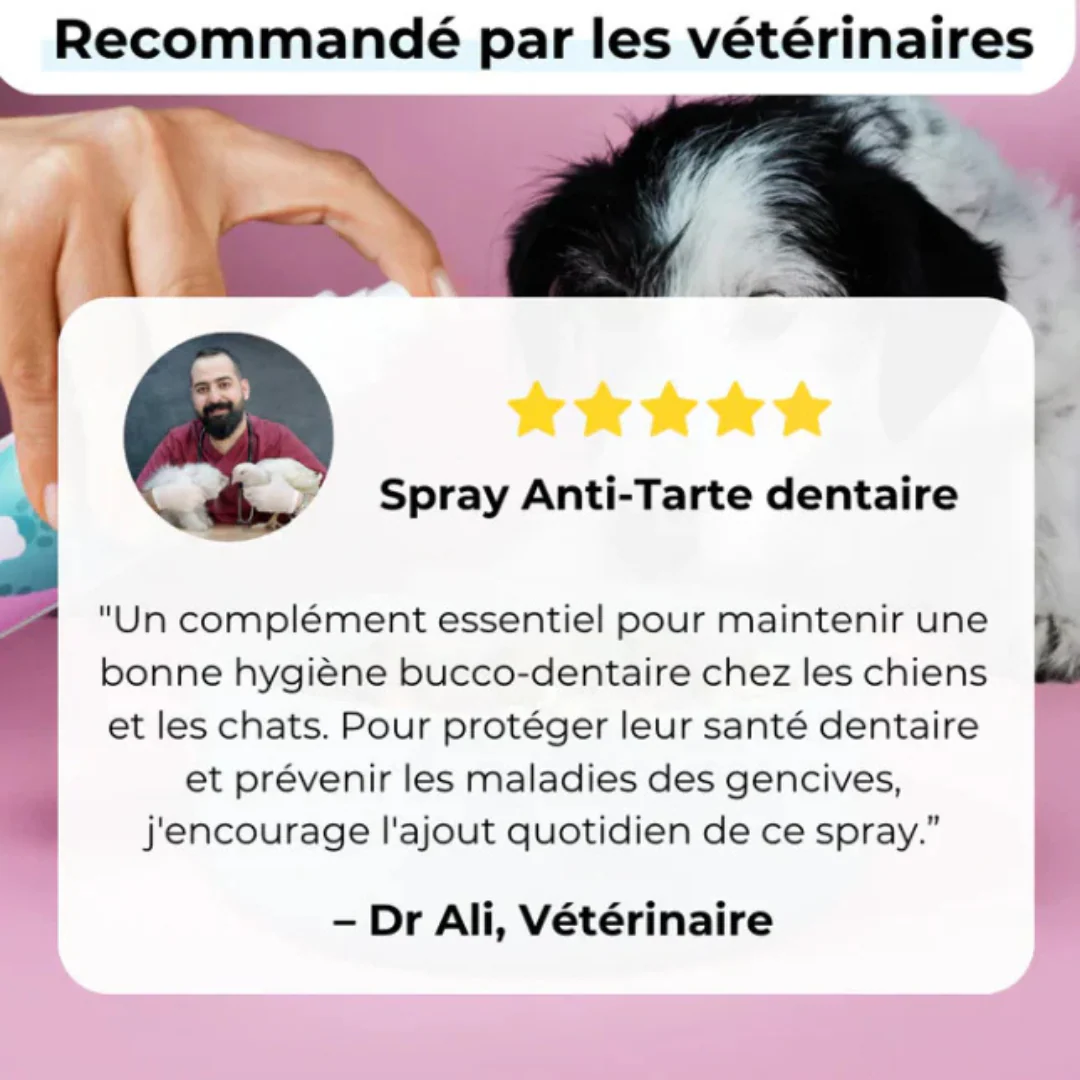 Spray dentaire naturel pour chien – Anti-tartre & haleine fraîche - Image 4
