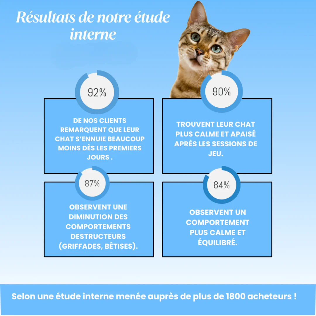 Tapis de Jeu Interactif pour Chat - Image 10