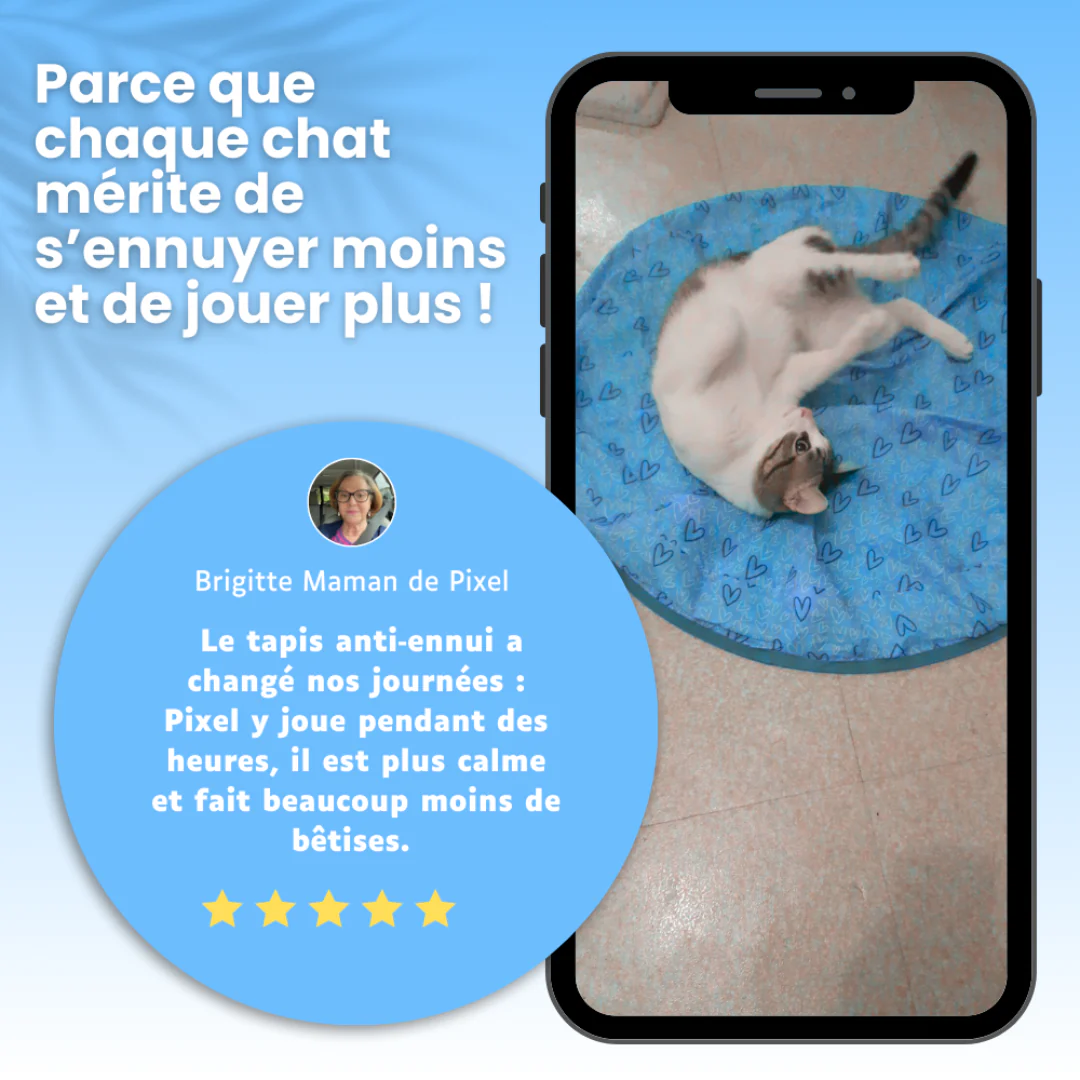 Tapis de Jeu Interactif pour Chat - Image 4