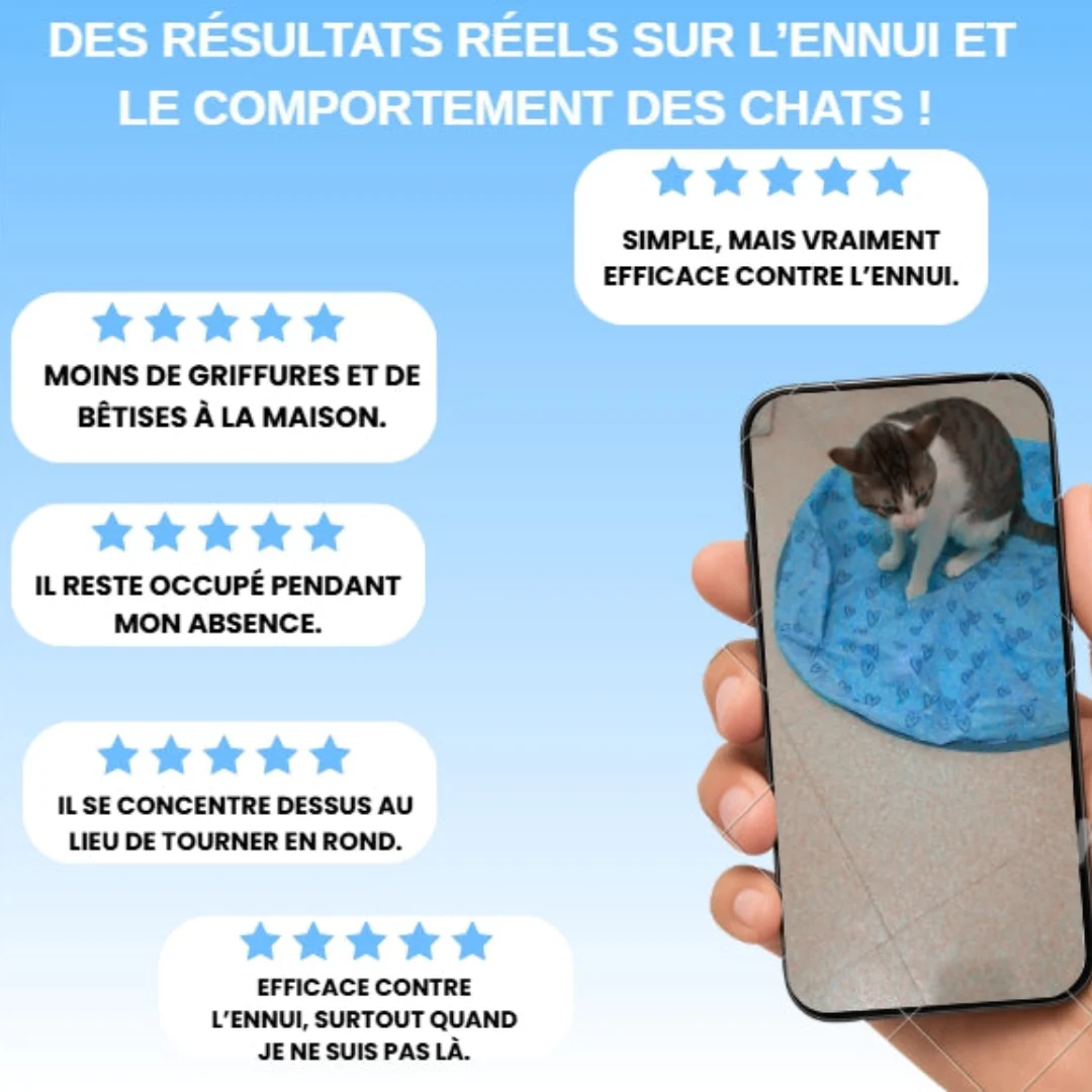 Tapis de Jeu Interactif pour Chat - Image 7