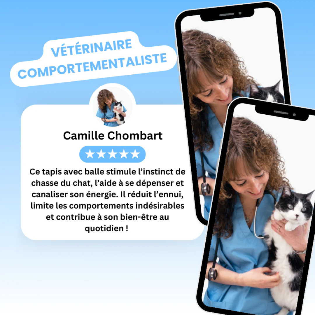 Tapis de Jeu Interactif pour Chat - Image 9