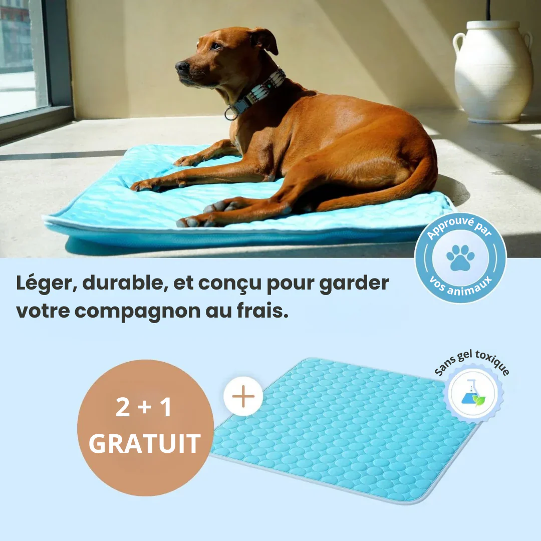Tapis rafraîchissant pour animaux - Image 5