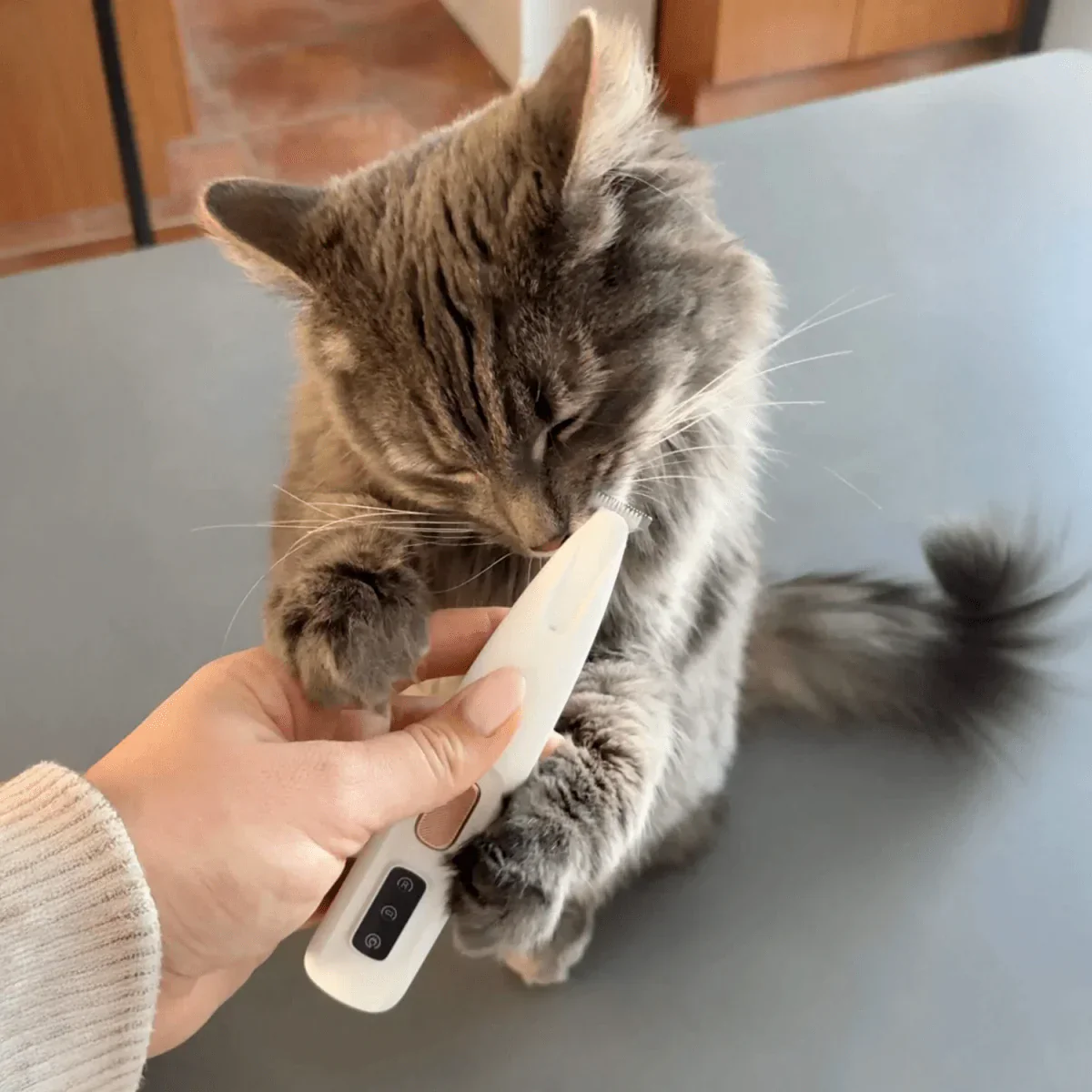 Tondeuse silencieuse pour chats - Image 6