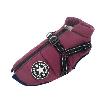 Veste d’hiver 2 en 1 pour chien - Image 10