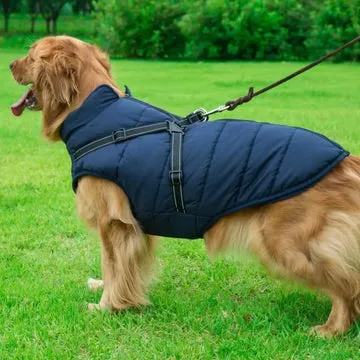 Veste d’hiver 2 en 1 pour chien - Image 13