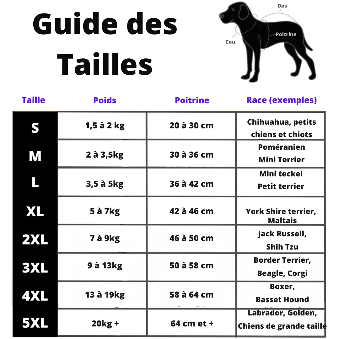 Veste d’hiver 2 en 1 pour chien - Image 15