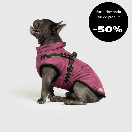 Veste d’hiver 2 en 1 pour chien - Image 3