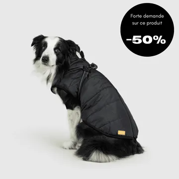 Veste d’hiver 2 en 1 pour chien - Image 4