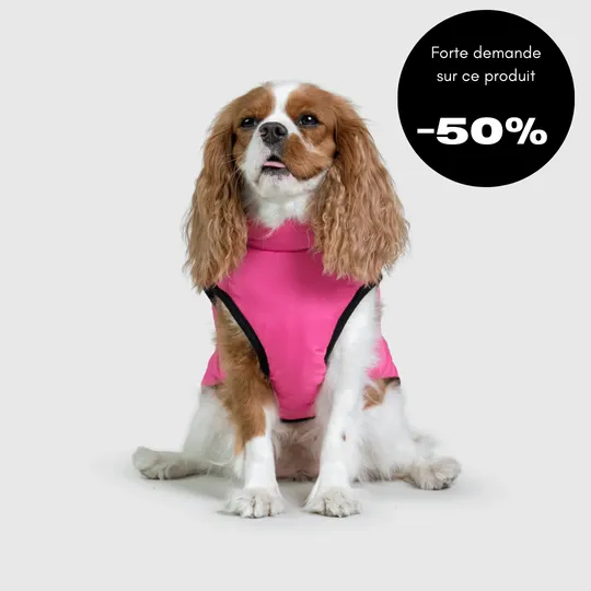 Veste d’hiver 2 en 1 pour chien - Image 5