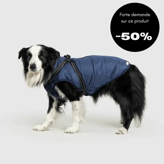 Veste d’hiver 2 en 1 pour chien - Image 6